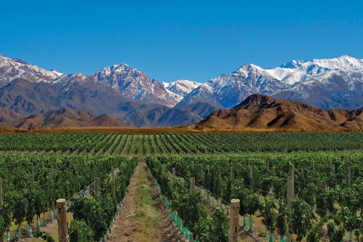 Mendoza property investment