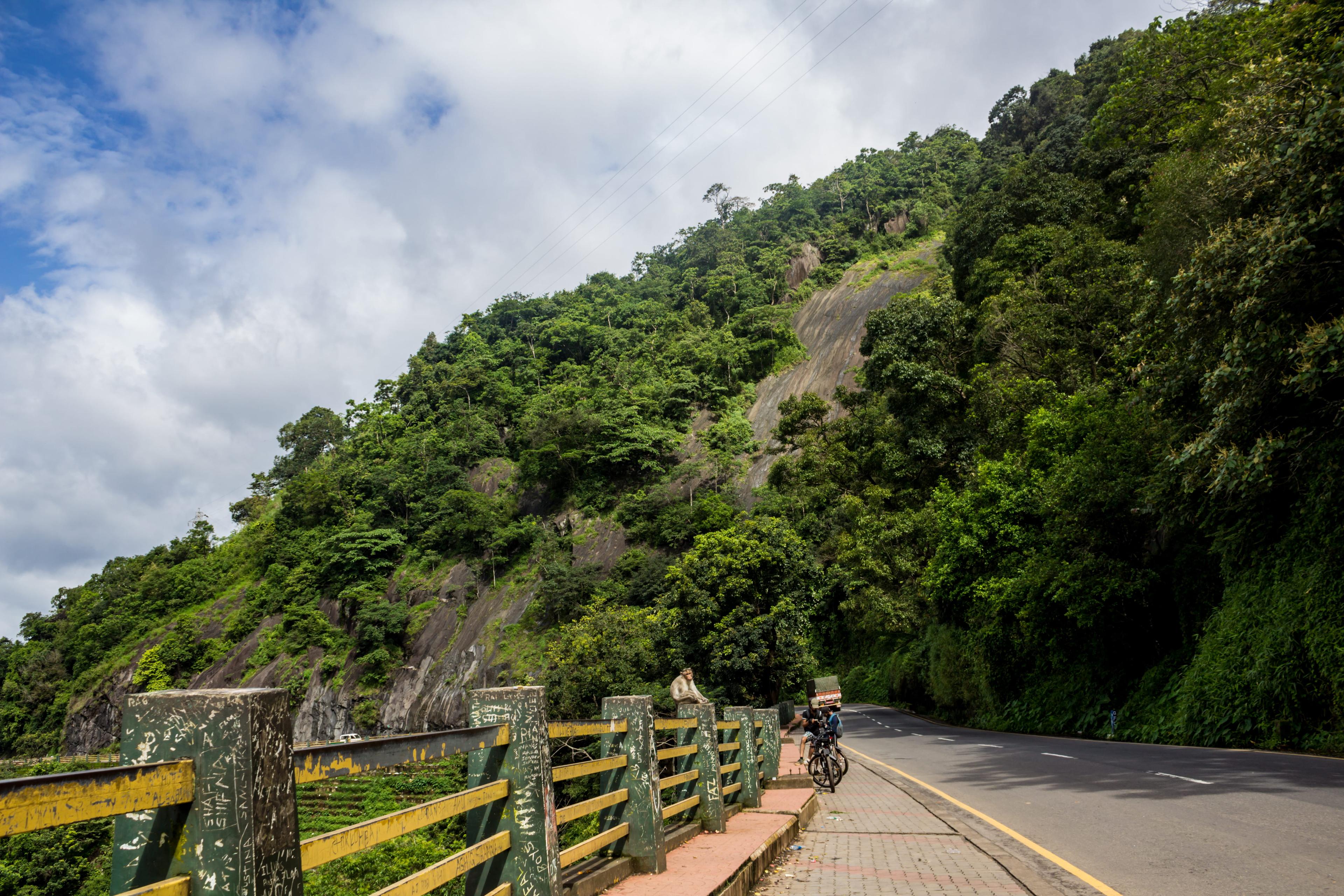 Boquete property investment